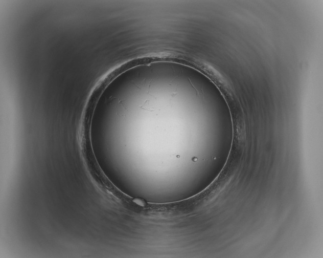 X0000111620532200907241032