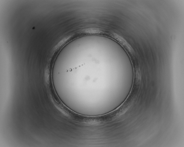 X0000111620533200907241032