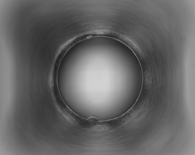 X0000111620536200907241032