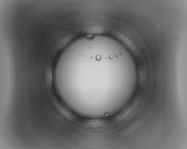 X0000111620541200907241032