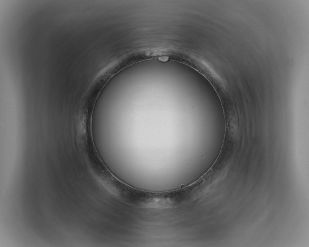 X0000111620543200907241032
