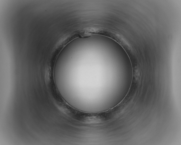 X0000111620544200907241032