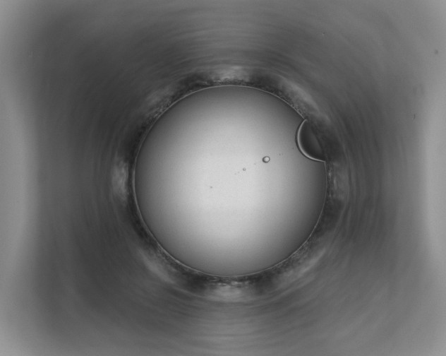 X0000111620550200907241032