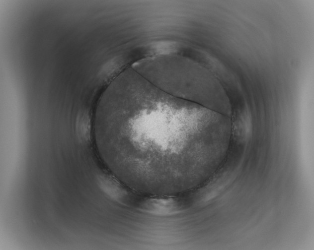 X0000111620552200907241032