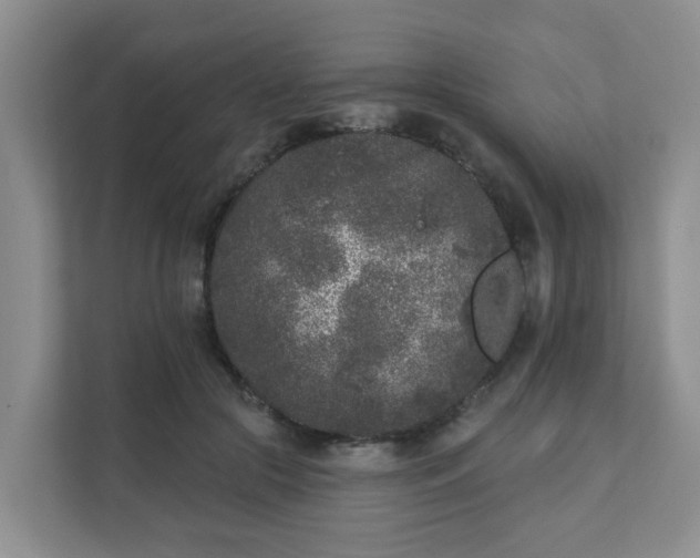 X0000111620553200907241032