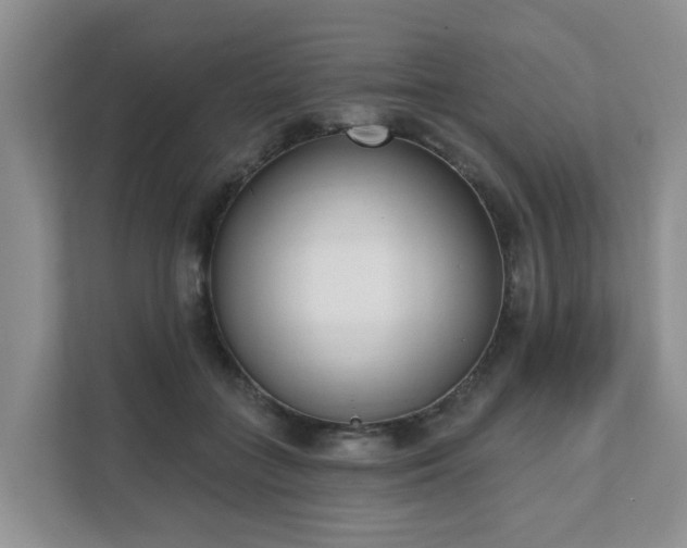 X0000111620555200907241032