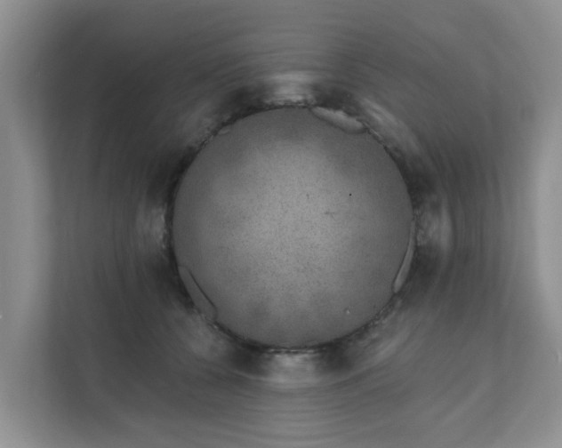 X0000111620560200907241032