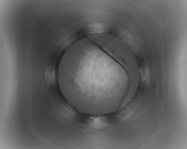X0000111620564200907241032