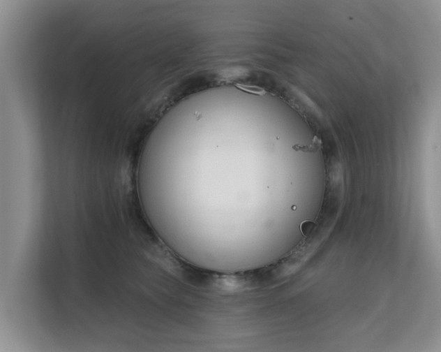 X0000111620565200907241032