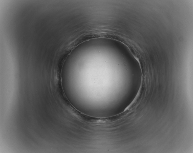 X0000111620566200907241032