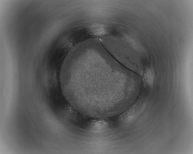 X0000111620572200907241032