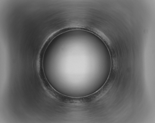 X0000111620580200907241032