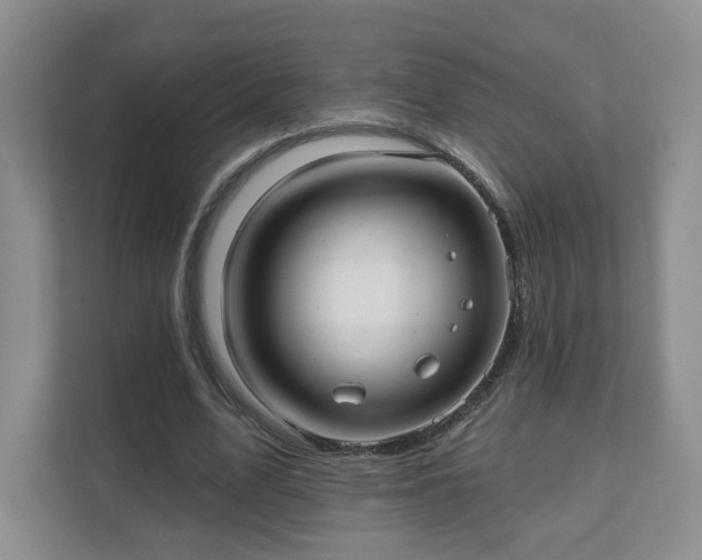 X0000111620583200907241032