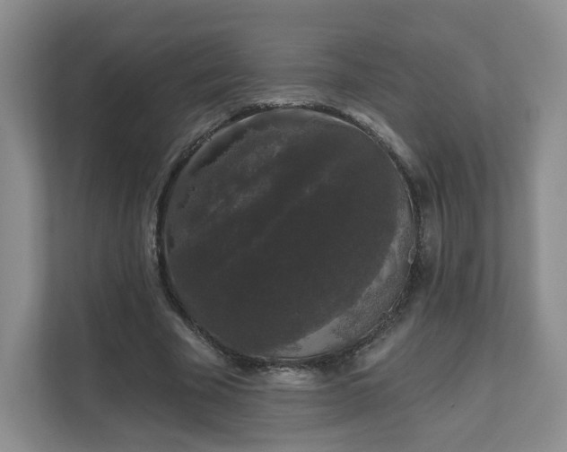 X0000111620585200907241032