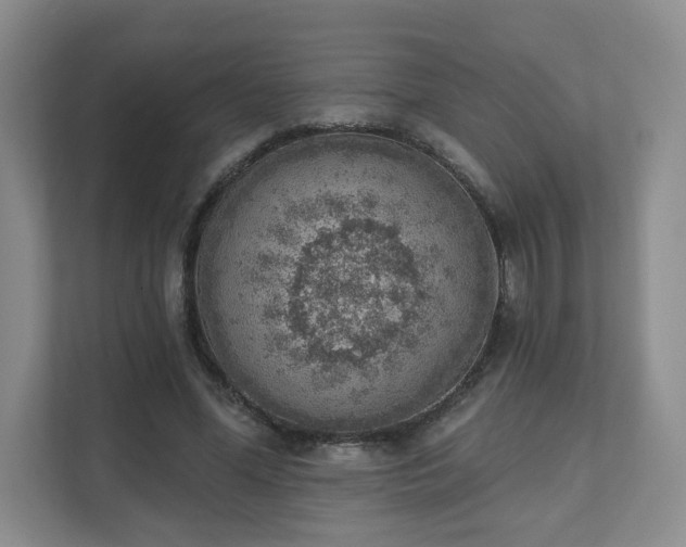X0000111620588200907241032