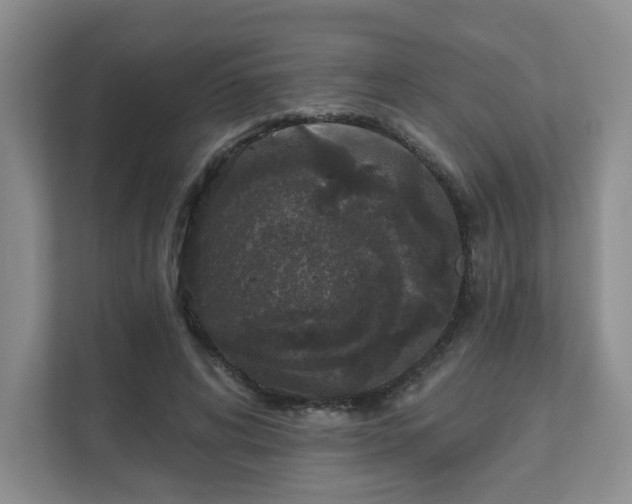X0000111620592200907241032