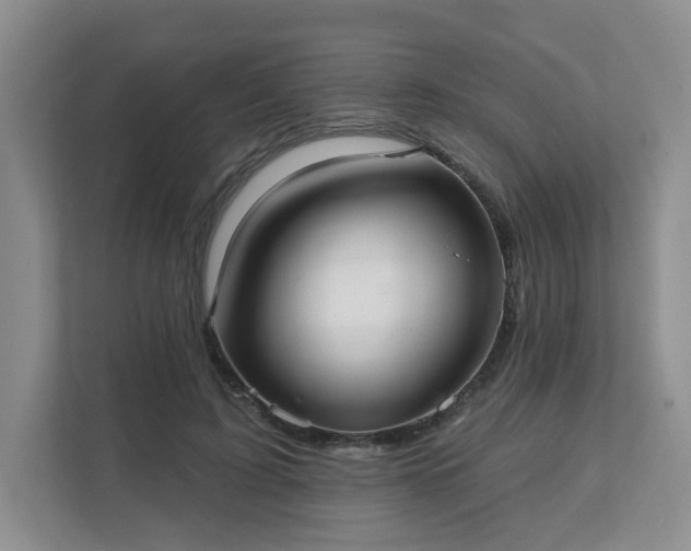 X0000111620595200907241031