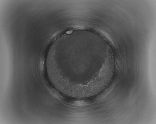X0000111620596200907241031
