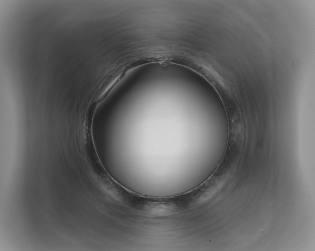 X0000111620597200907241031