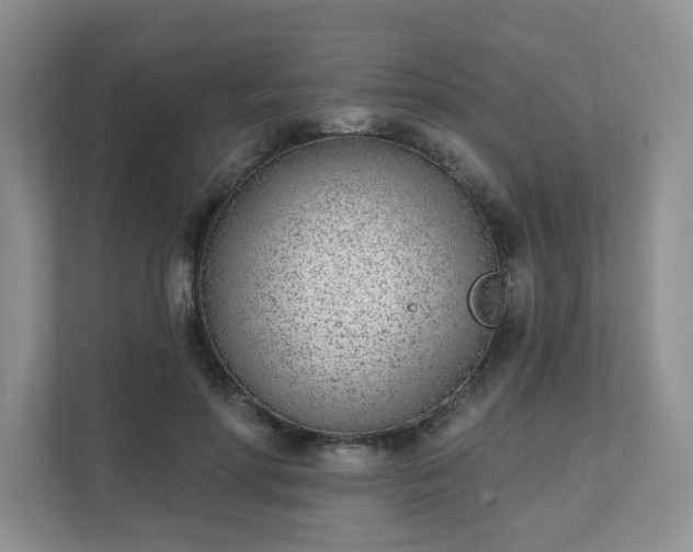 X0000111620598200907241031