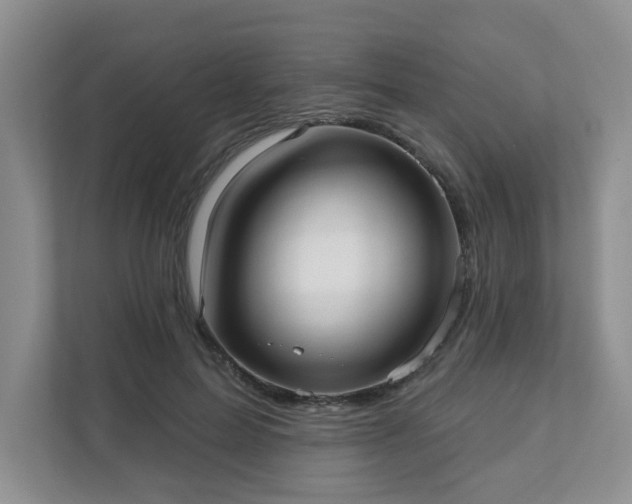 X0000111620599200907241031