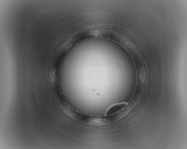 X0000111620611200907241031