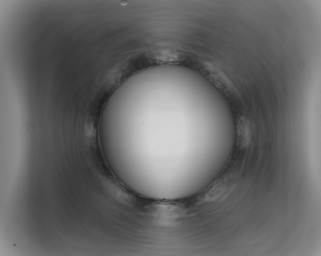 X0000111620614200907241031
