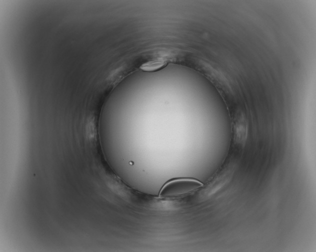 X0000111620620200907241031