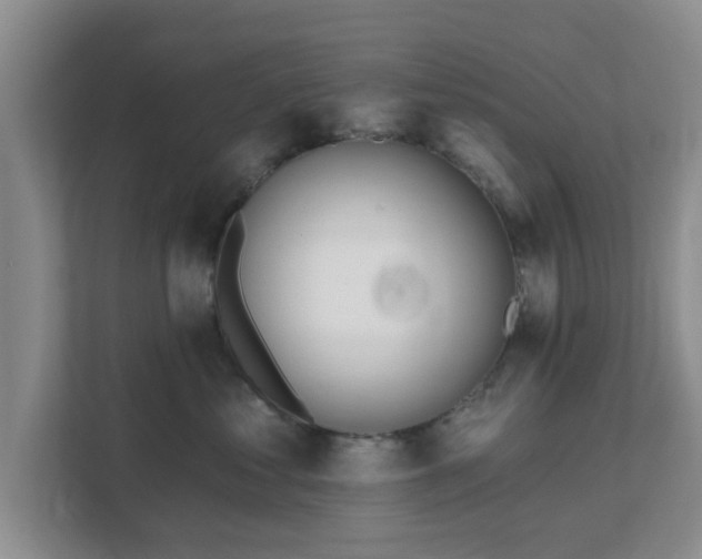 X0000111620621200907241031