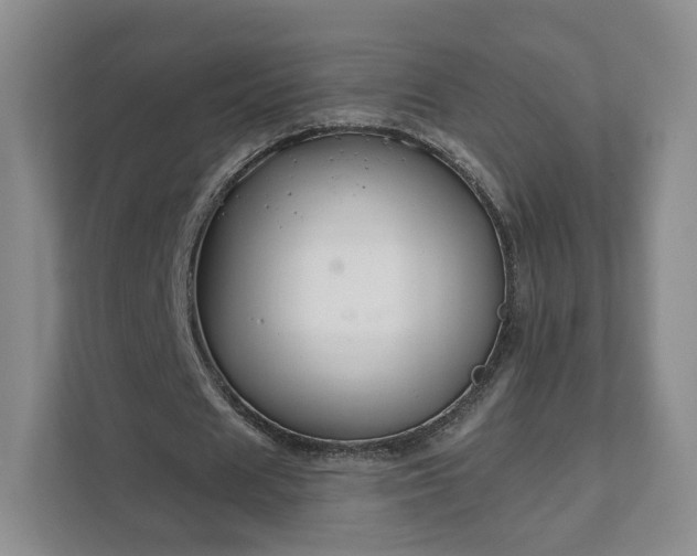 X0000111620625200907241030