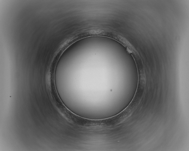 X0000111620626200907241030