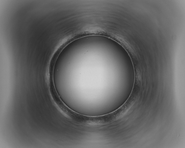 X0000111620630200907241031