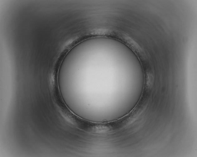X0000111620636200907241031