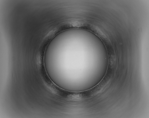 X0000111620639200907241031