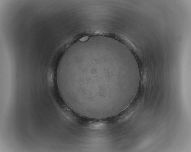 X0000111620643200907241031