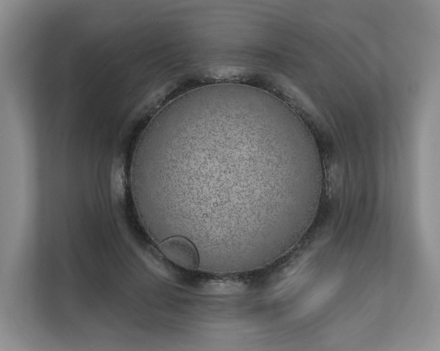 X0000111620644200907241031