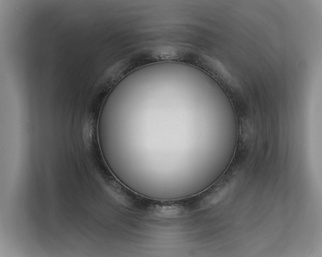 X0000111620645200907241031