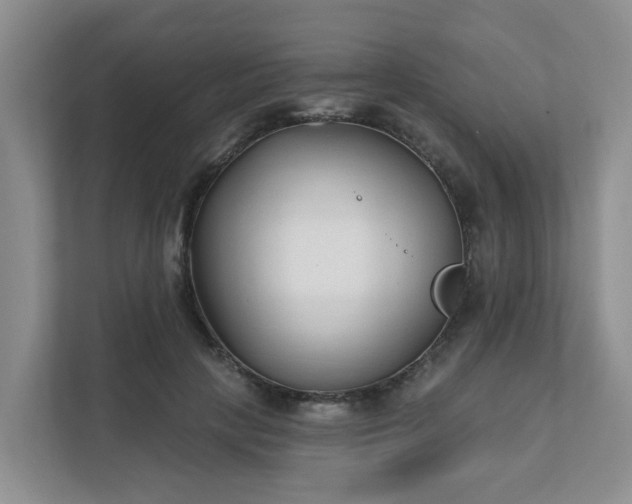 X0000111620649200907241031