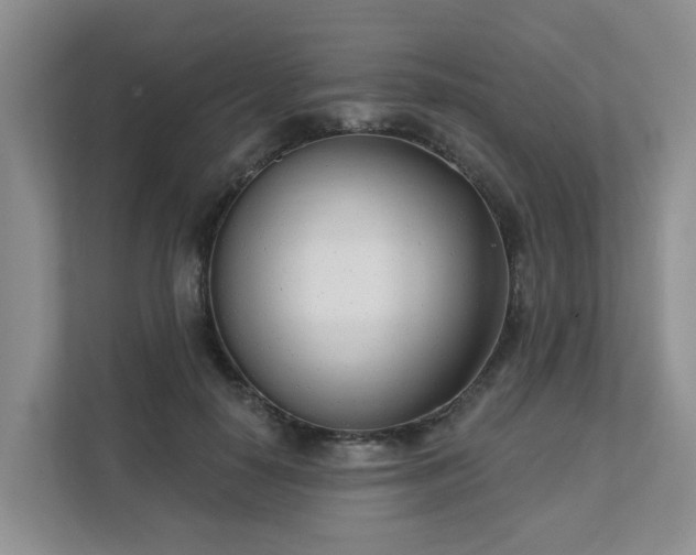 X0000111620650200907241031