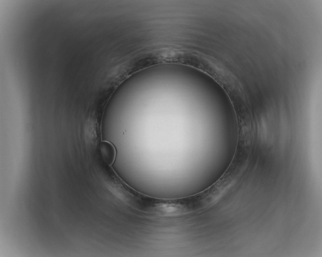 X0000111620654200907241031