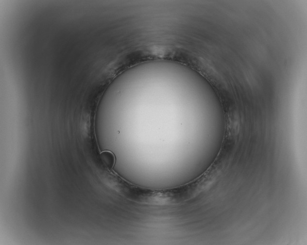 X0000111620656200907241031