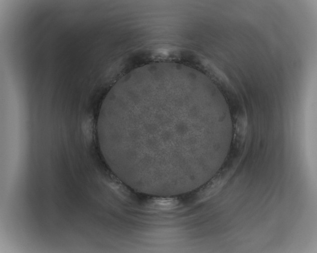 X0000111620659200907241031
