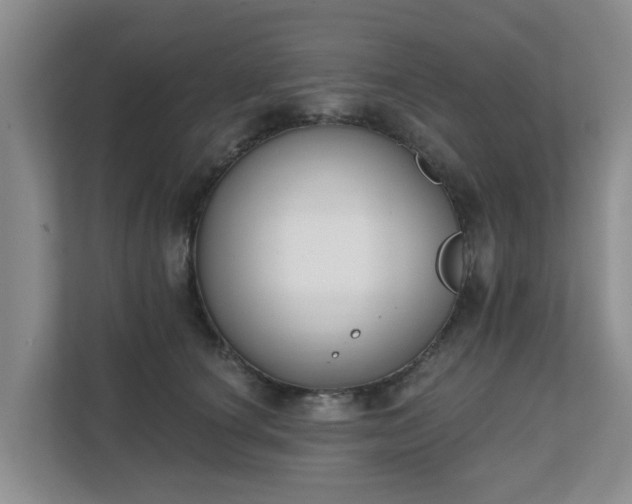 X0000111620660200907241031