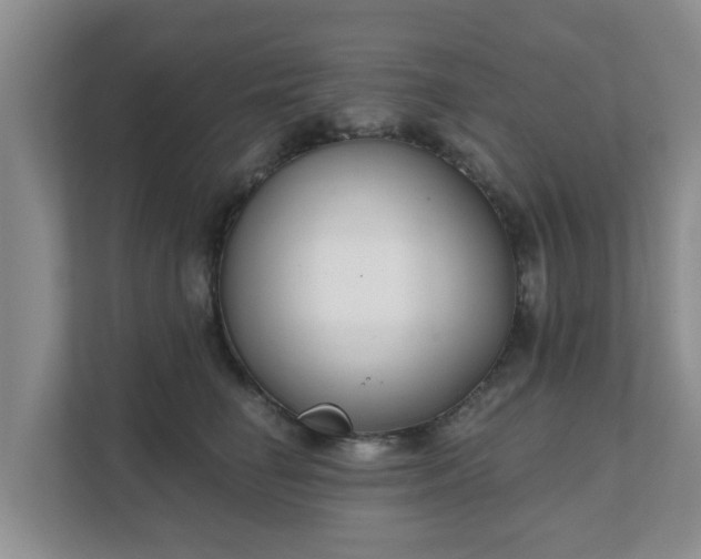 X0000111620662200907241031