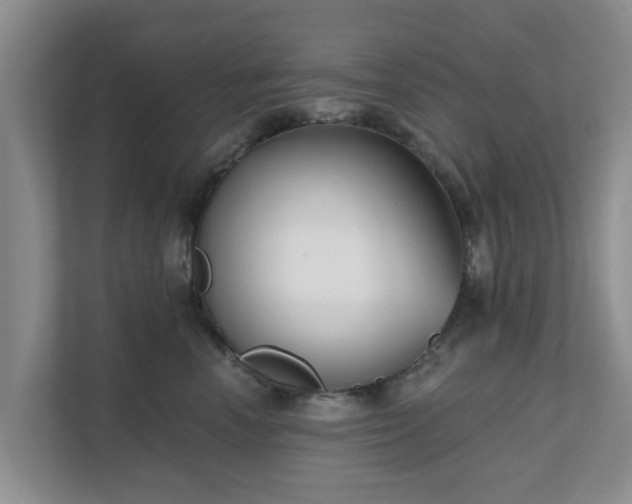 X0000111620666200907241031