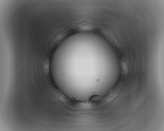 X0000111620668200907241031