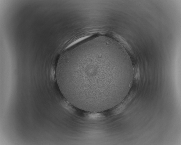 X0000111620669200907241031