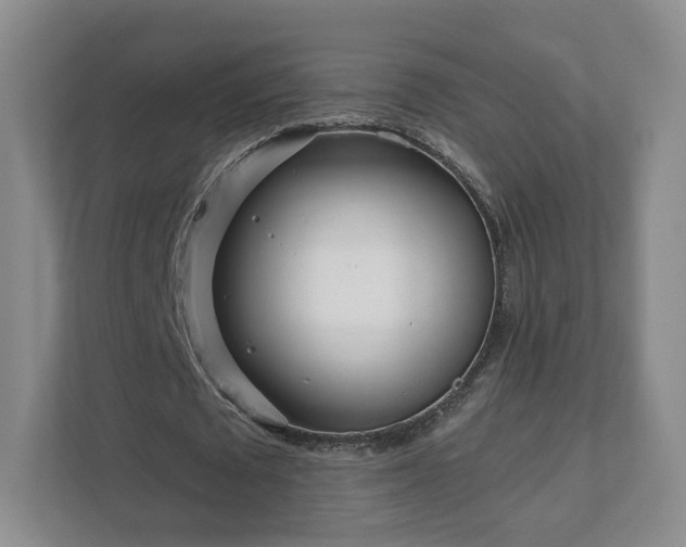 X0000111620673200907241030
