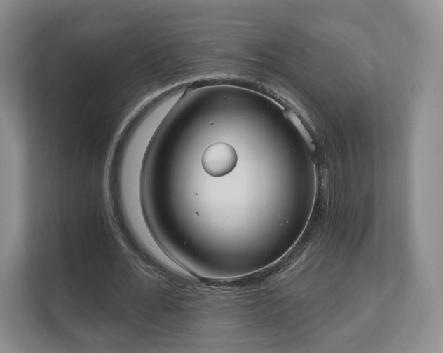 X0000111620676200907241030