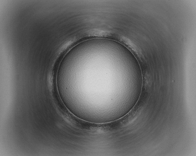 X0000111620679200907241030